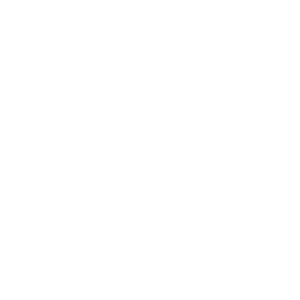 Logo de VDM Motors