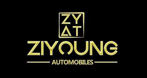 Logo de ZIYOUNG AUTOMOBILES